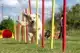 AGILITY-SET 12-DELIG