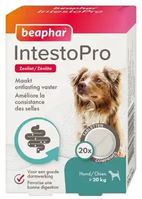 INTESTOPRO HOND VANAF 20KG 20 TABLETTEN