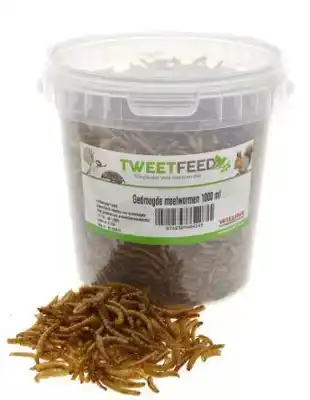 GEDROOGDE MEELWORMEN