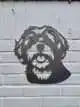 METALEN BOOMER KOP