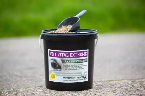 PAARDENVOEDING VB 1 VITAL EXTREME 6KG