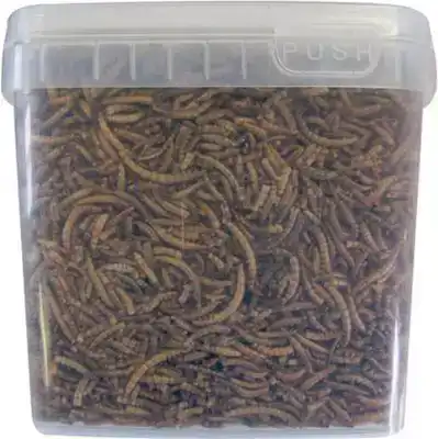 GEDROOGDE MEELWORMEN 2,5LT
