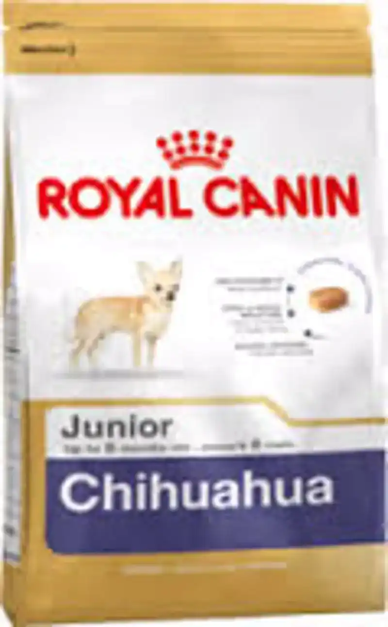 RC BHN CHIHUAHUA JUNIOR 1,5KG