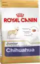 RC BHN CHIHUAHUA JUNIOR 1,5KG