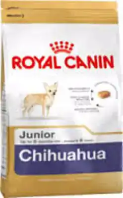 RC BHN CHIHUAHUA JUNIOR 1,5KG