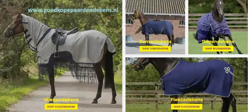 CADEAUSHOP PAARDENDEKEN CHEQUE 1350 ALL-IN PUNTEN