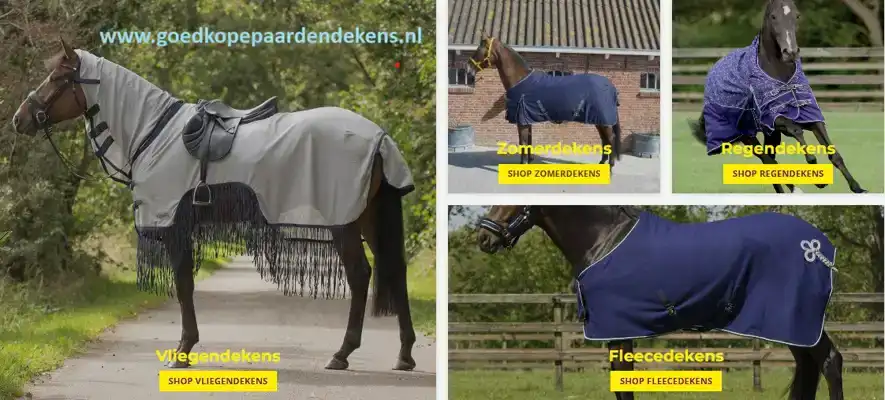 CADEAUSHOP PAARDENDEKEN CHEQUE 1350 ALL-IN PUNTEN