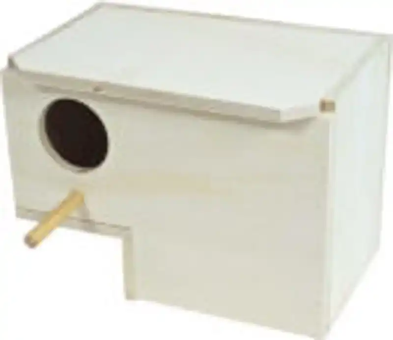 GOLD AMADINE BROEDBLOK