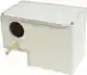 GOLD AMADINE BROEDBLOK