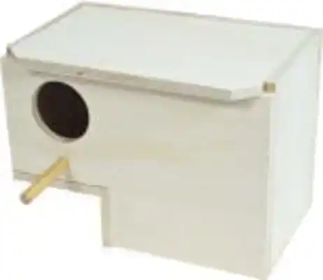 GOLD AMADINE BROEDBLOK