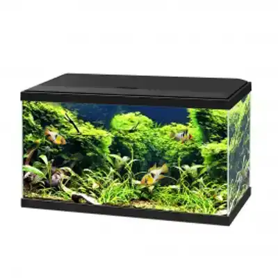 CIANO AQUARIUM 60 LED ZWART