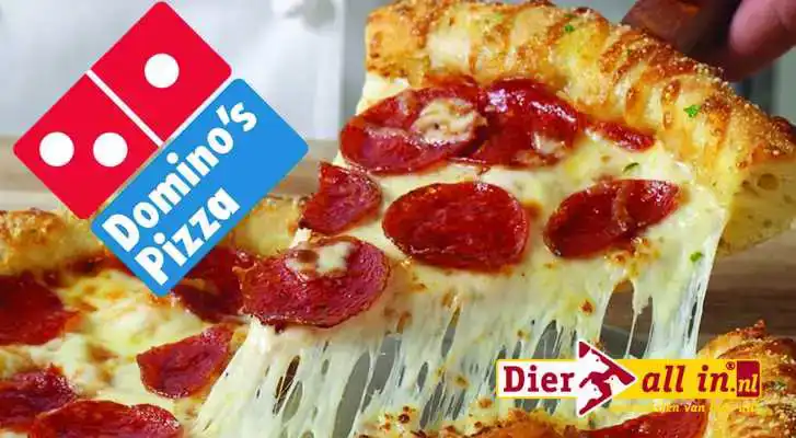 CADEAUSHOP DOMINO'S CINNASTIX, 650 ALL-IN PUNTEN
