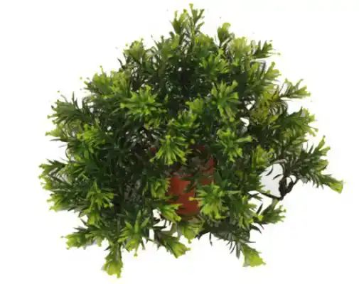 KP BOWL IN POT 20CM ASS 349723