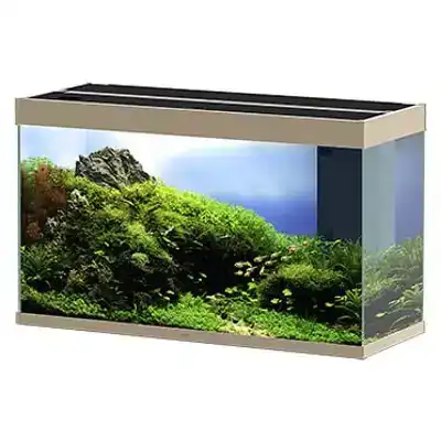 CIANO AQUARIUM EMOTIONS NATURE PRO 100 MYSTIC