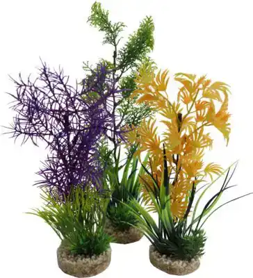 AQUAR.PLANT MEDIUM 349701
