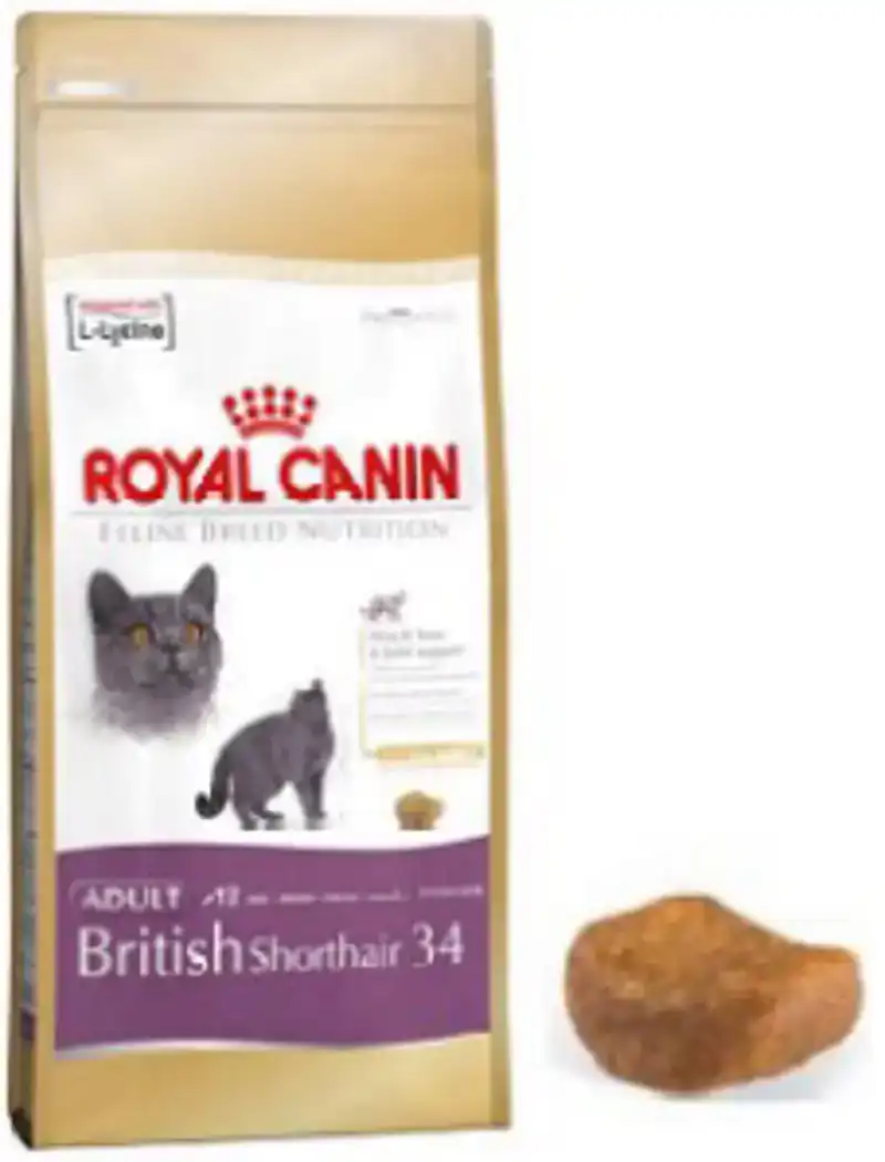 RC FBN BRITISH SHORTHAIR 2KG