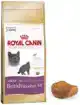 RC FBN BRITISH SHORTHAIR 2KG