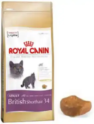 RC FBN BRITISH SHORTHAIR 2KG