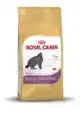 RC FBN BRITISH SHORTHAIR 400G