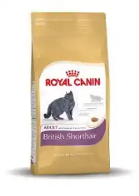 RC FBN BRITISH SHORTHAIR 400G
