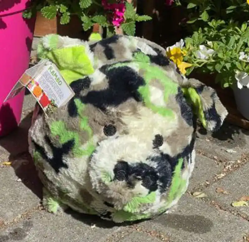 CADEAUSHOP  PIGGY RAMBO (CAMOUFLAGE), 550 ALL-IN PUNTEN