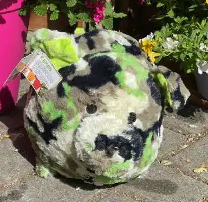 CADEAUSHOP PIGGY RAMBO (CAMOUFLAGE), 550 ALL-IN PUNTEN