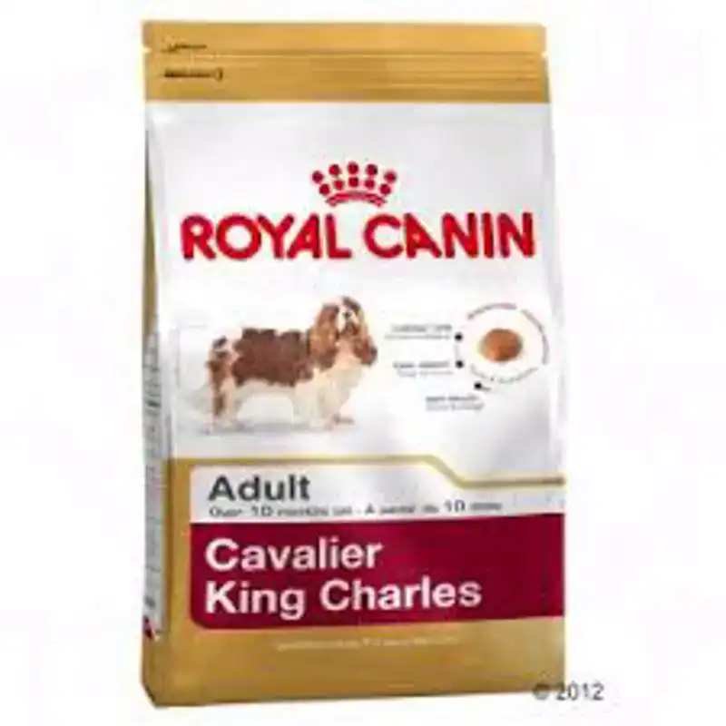 RC BHN CAVALIER KING CH. AD 1,5KG