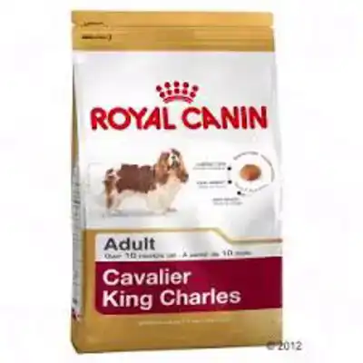 RC BHN CAVALIER KING CH. AD 1,5KG