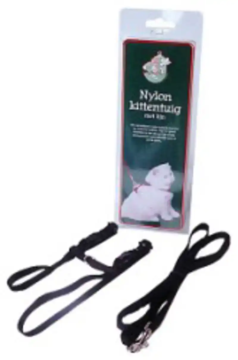 NYLON KITTENTUIG MET LIJN ZWART