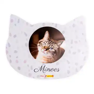 ONTWERP EEN PLACEMAT VOOR JOUW KAT!