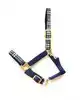 NYLON HALSTER SPECIAL EDITION BLAUW/ZWART FULL
