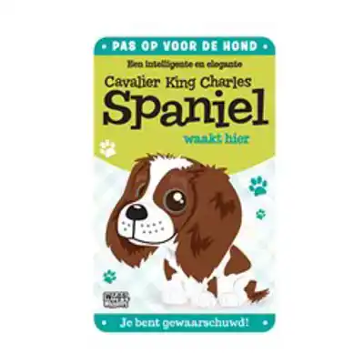 BORDJE - CAVALIER KING CHARLES SPANIEL