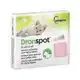 DRONSPOT KLEINE KAT 2 PIPETTEN