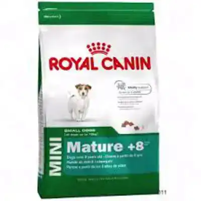 RC SHN MINI ADULT 8+ 2KG