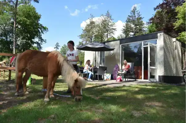 CADEAUSHOP PONY BUNGALOW, 9000 PUNTEN