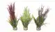 KP WATER GRASS 18CM (BEP 12) 350117