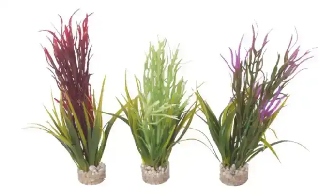 KP WATER GRASS 18CM (BEP 12) 350117