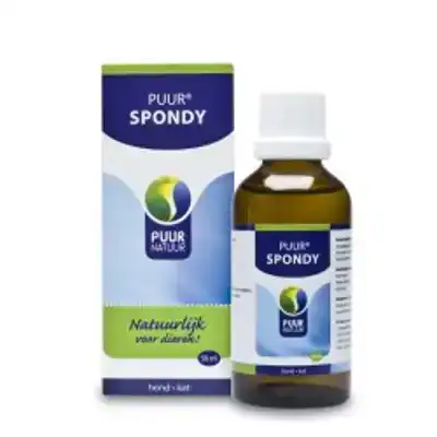 PUUR SPONDY