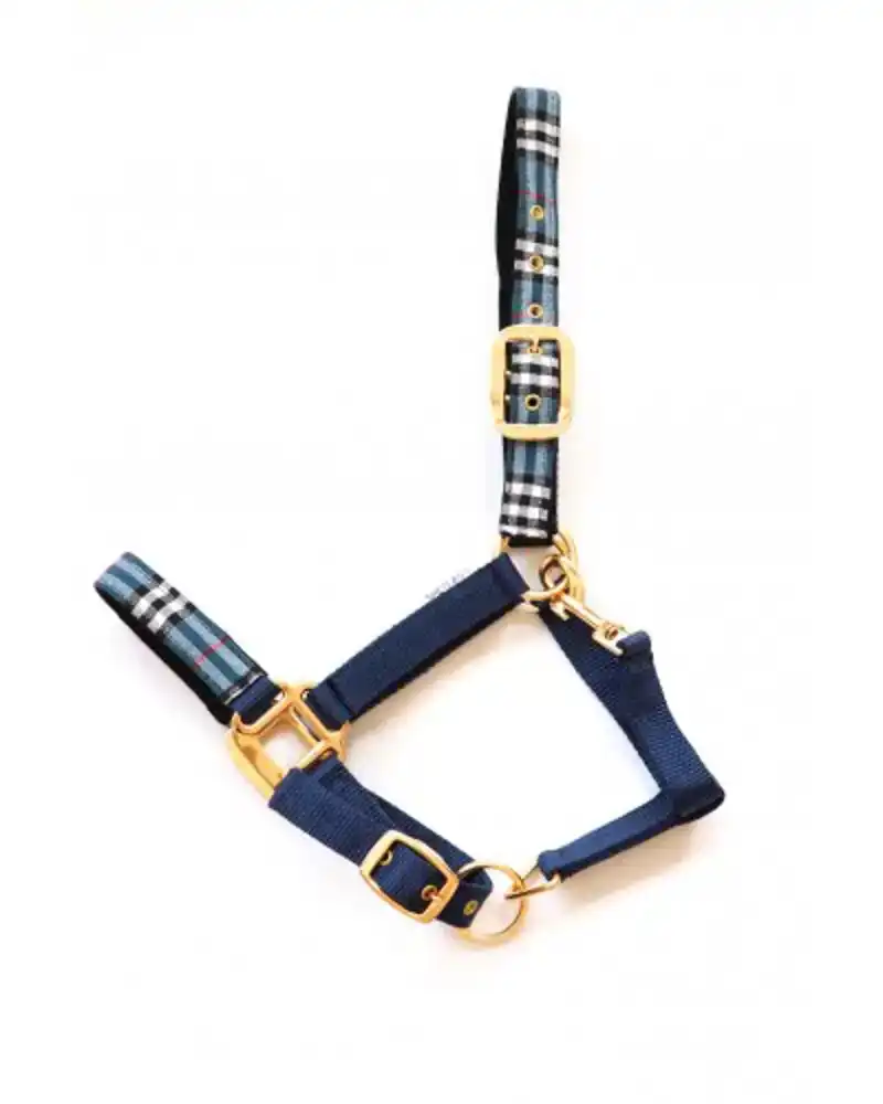 NYLON HALSTER SPECIAL EDITION BLAUW/ZWART COB