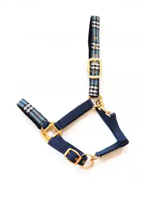 NYLON HALSTER SPECIAL EDITION BLAUW/ZWART COB