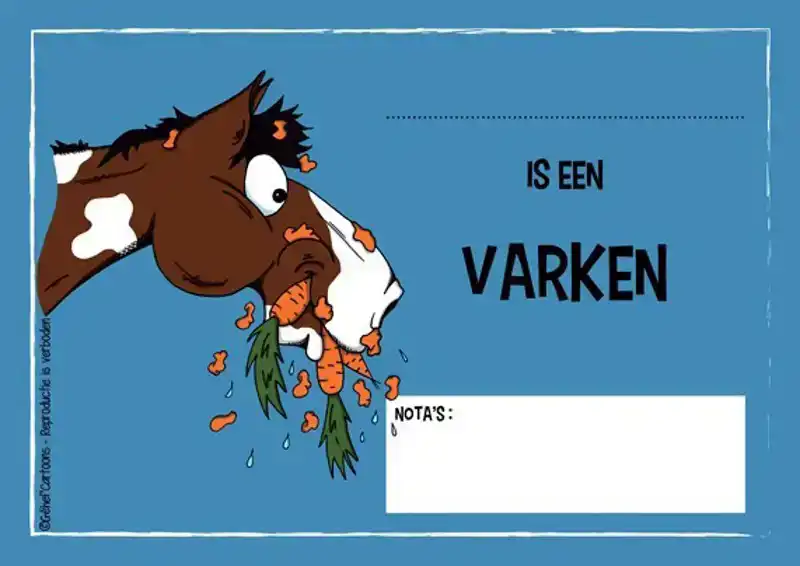 STALPLAAT VARKEN
