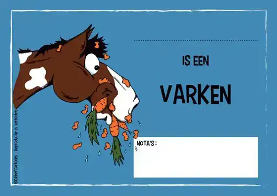 STALPLAAT VARKEN