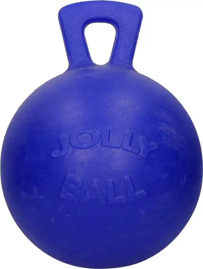 JOLLY BALL 20CM BLUE HORSE/DOG