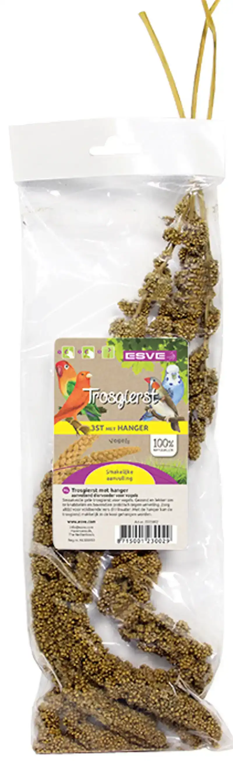 TROSGIERST GEEL 3 STUKS + HANGER