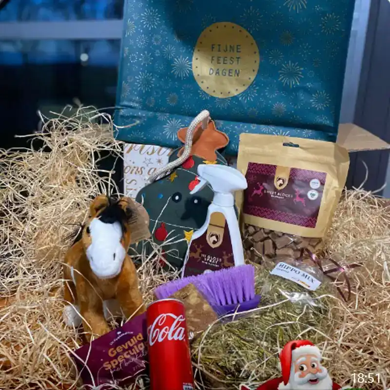 KERSTPAKKET PAARD EN RUITER JEUGD
