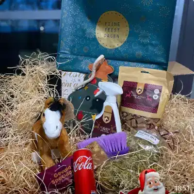 KERSTPAKKET PAARD EN RUITER JEUGD