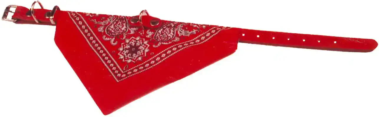 HALSBAND MET ZAKDOEK 65 CM ROOD