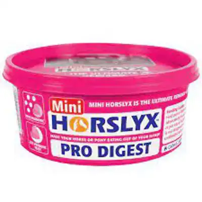 HORSLYX HORSLYX PRO DIGEST BALANCER MINI 650 G