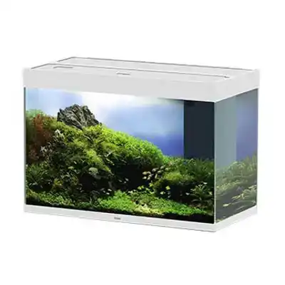 CIANO CIANO AQUARIUM EMOTIONS NATURE PRO 80 81,2X40,2X56CM W