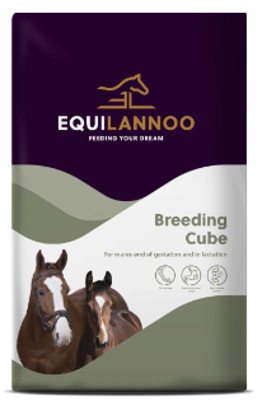 EQUILANNOO BREEDING CUBE 20 KG